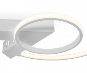 Потолочный светильник Freya FR6020CL-L31W