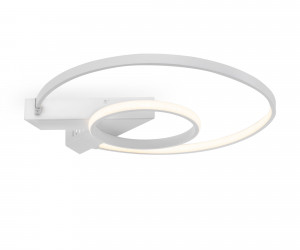 Потолочный светильник Freya FR6020CL-L31W