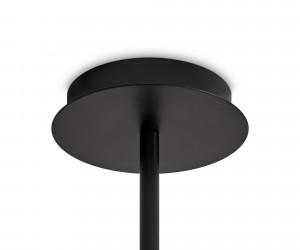 Потолочный светильник Freya FR5544CL-10B