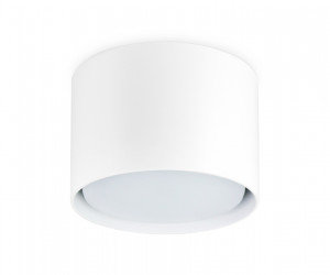 TN5301 WH белый GX53 D84*60