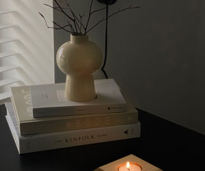 Подсвечник PLUG01 NL+GR 000048847