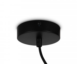 Подвесной светильник Freya FR5221PL-01B