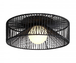 Потолочный светильник Freya FR5405CL-01B