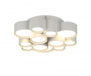 Потолочный светильник Freya FR6043CL-L30W