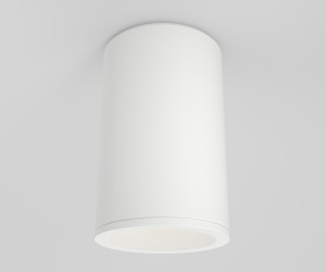 Потолочный светильник Technical C029CL-01-S-W