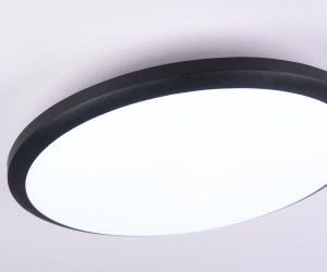 FZ1234 BK черный IP44 42W 6400К D370*55 (Без ПДУ)