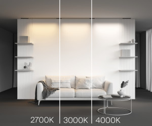 Трековый светильник Technical TR190-1-15W3K-B