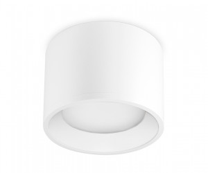 TN5321 WH белый GX53 D96*80