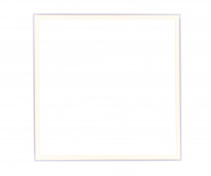 DPS1054 48W 4000K 180-260V IP40 4320LM 595*595*15