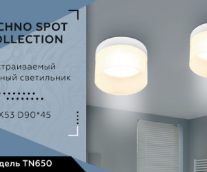 TN650 SWH белый песок GX53 D85*80