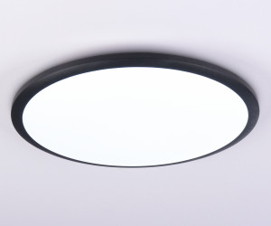 FZ1235 BK черный IP44 48W 6400К D450*55 (Без ПДУ)