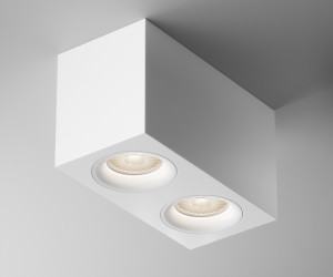 Потолочный светильник Technical C013CL-02W