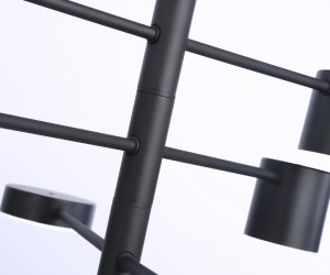 FL51686/6 BK черный 3000K/4200K/6400K 36W D700*930 (Без ПДУ)