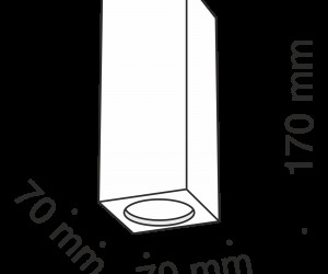 Потолочный светильник Technical C006CW-01W