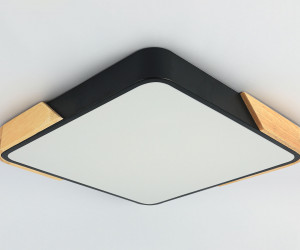 FZ1317 BK/LW черный/светлое дерево 45W 5000K 500*500*50 (без ПДУ)