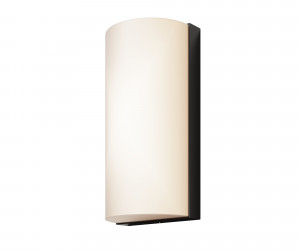 Настенный светильник (бра) Outdoor O454WL-L10GF3K1