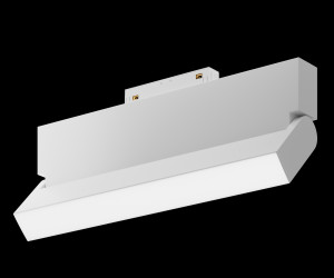 Трековый светильник Technical TR013-2-20W3K-W