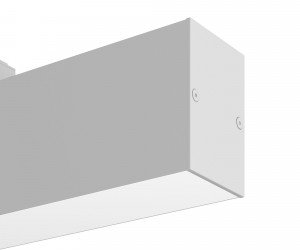 Трековый светильник Technical TR012-2-12W4K-W