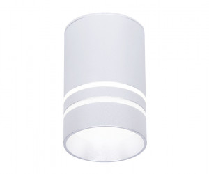 TN236 SL/S серебро/песок LED 4200K 5W D60*100