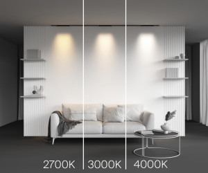 Трековый светильник Technical TR192-1-8W3K-B