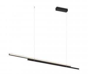 Подвесной светильник Maytoni MOD005PL-L48BK