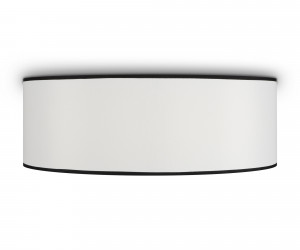 Потолочный светильник Maytoni MOD613CL-03W