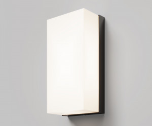 Настенный светильник (бра) Outdoor O454WL-L10GF3K