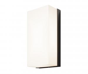 Настенный светильник (бра) Outdoor O454WL-L10GF3K