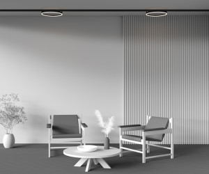 Трековый светильник Technical TR227-2-24W3K-B