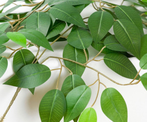 Настольная лампа Люссоле SY2860