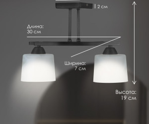 Потолочный светильник SS5274-2 BK 000061920