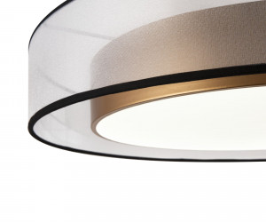 Потолочный светильник Freya FR6005CL-L48G