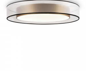 Потолочный светильник Freya FR6005CL-L48G