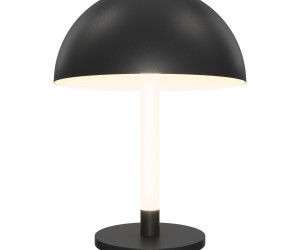 Настольный светильник Maytoni Z012TL-L8B3K