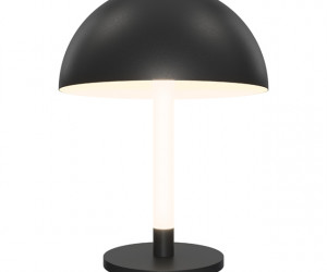 Настольный светильник Maytoni Z012TL-L8B3K