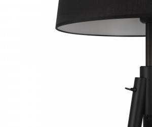 Напольный светильник (торшер) Maytoni Z177FL-01B