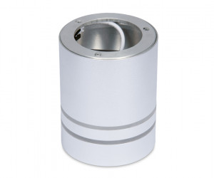 TN241 SL/S серебро/песок LED 4200K 12W D80*100