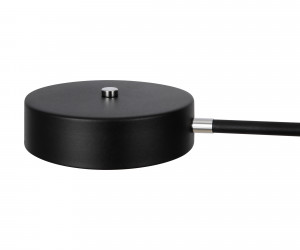 Потолочный светильник Freya FR6048CL-L6GR