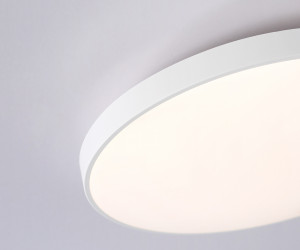 FZ1220 WH белый IP44 13W 4200K D232*50 (Без ПДУ)