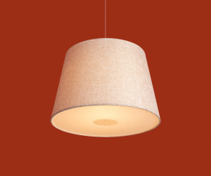 Подвесной светильник Freya FR2057PL-01BG