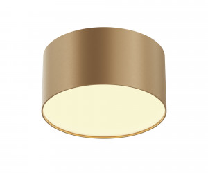 Потолочный светильник Technical C032CL-12W2.7K-RD-MG