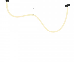 Трековый подвесной светильник Technical TR101-2-50W3K-B