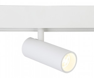 GL3819 WH белый IP20 10W 4200K 48V 24° D47*128