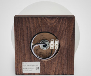 Потолочный светильник 6426-1SP WG 000036796