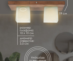 Потолочный светильник 6424-2 PR 000036797