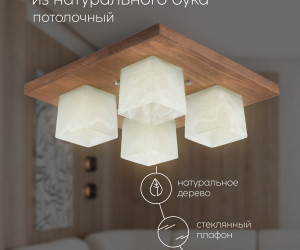 Потолочный светильник 6424-4 PR 000036798