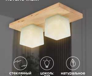 Потолочный светильник 6424-2 NL 000036811