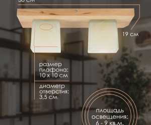 Потолочный светильник 6424-2 NL 000036811