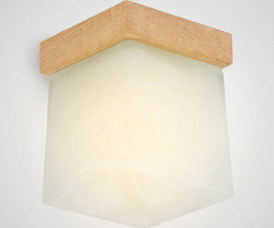 Потолочный светильник 6424-1SP NL 000036813