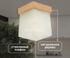 Потолочный светильник 6424-1SP NL 000036813